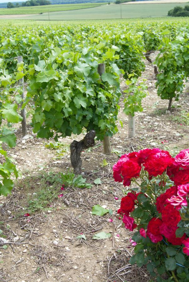 La Pouillyzotte Panzió Kültér fotó