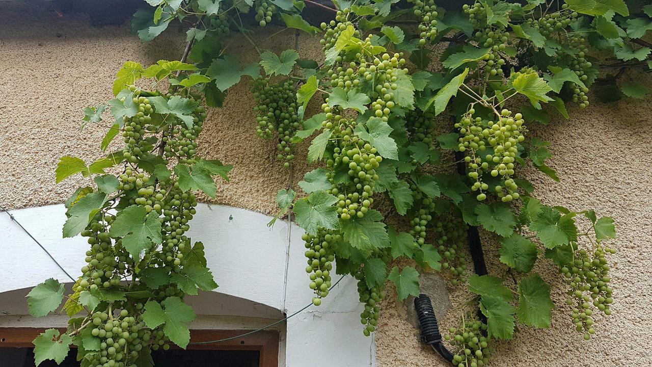 La Pouillyzotte Panzió Kültér fotó